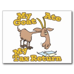 Goat ate my tax return